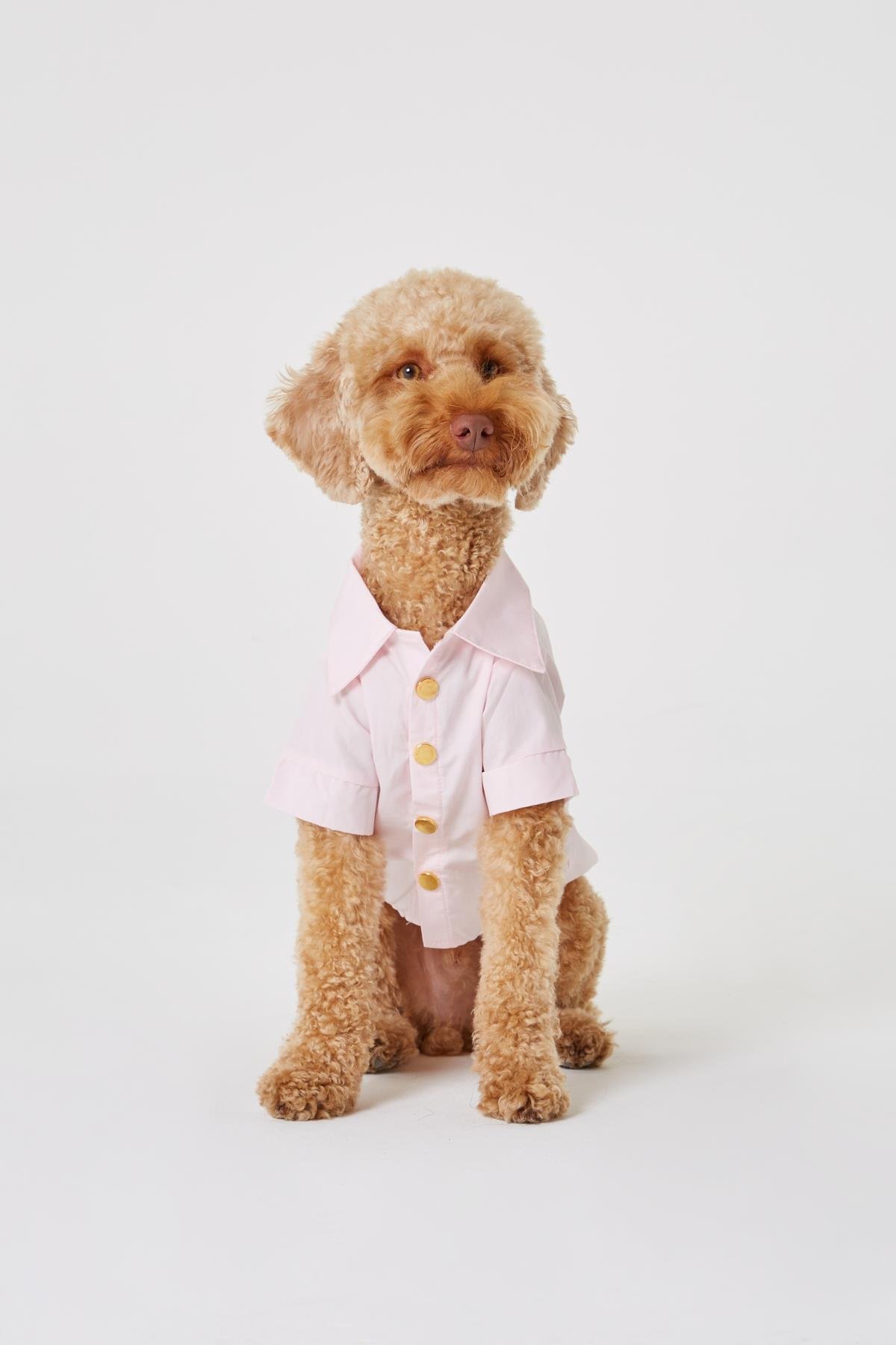 Monido Pembe Köpek Gömlek - Gold Düğmeler ve Cep Detaylı