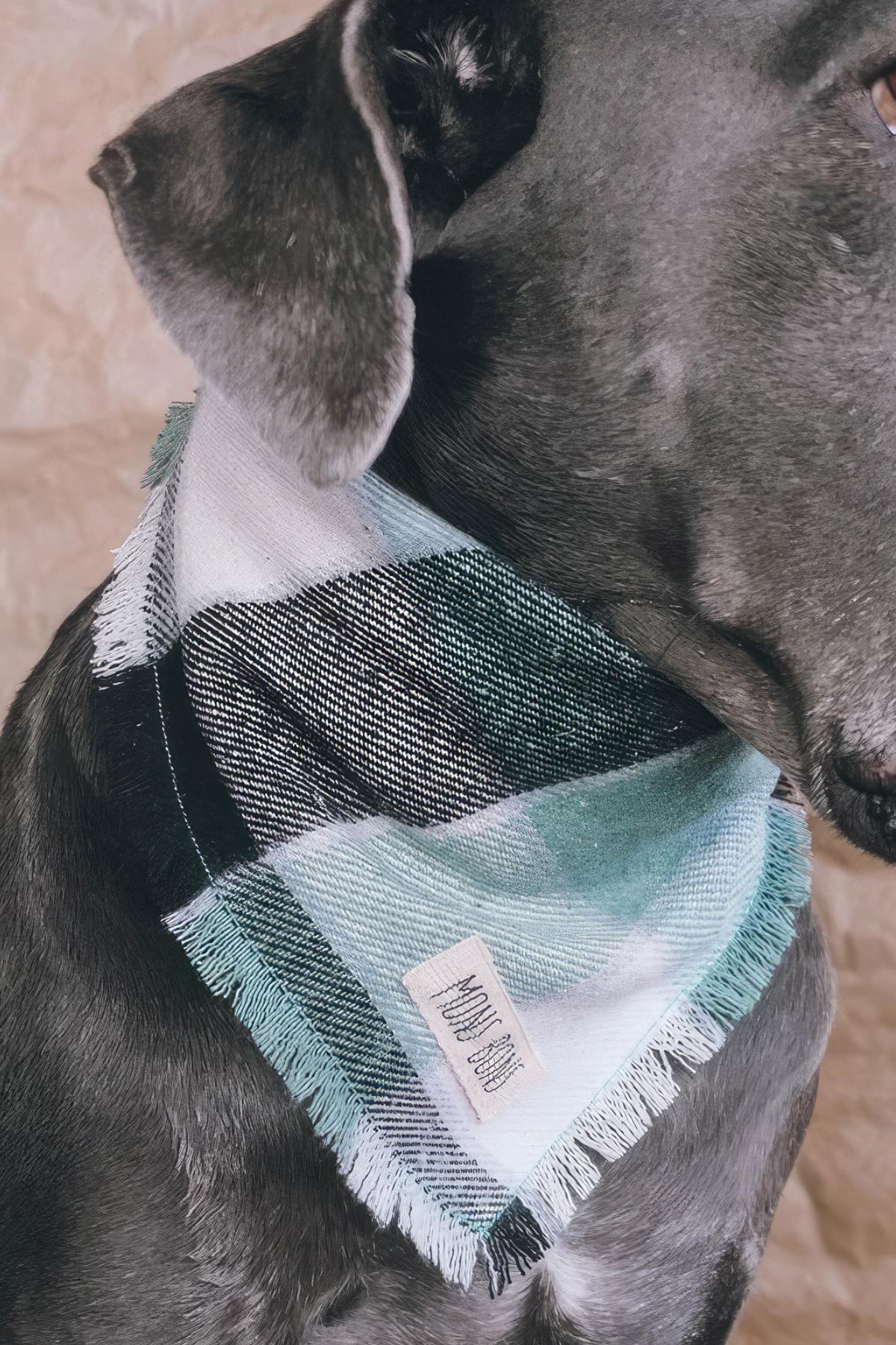 Mons Bons Neo Köpek Bandana