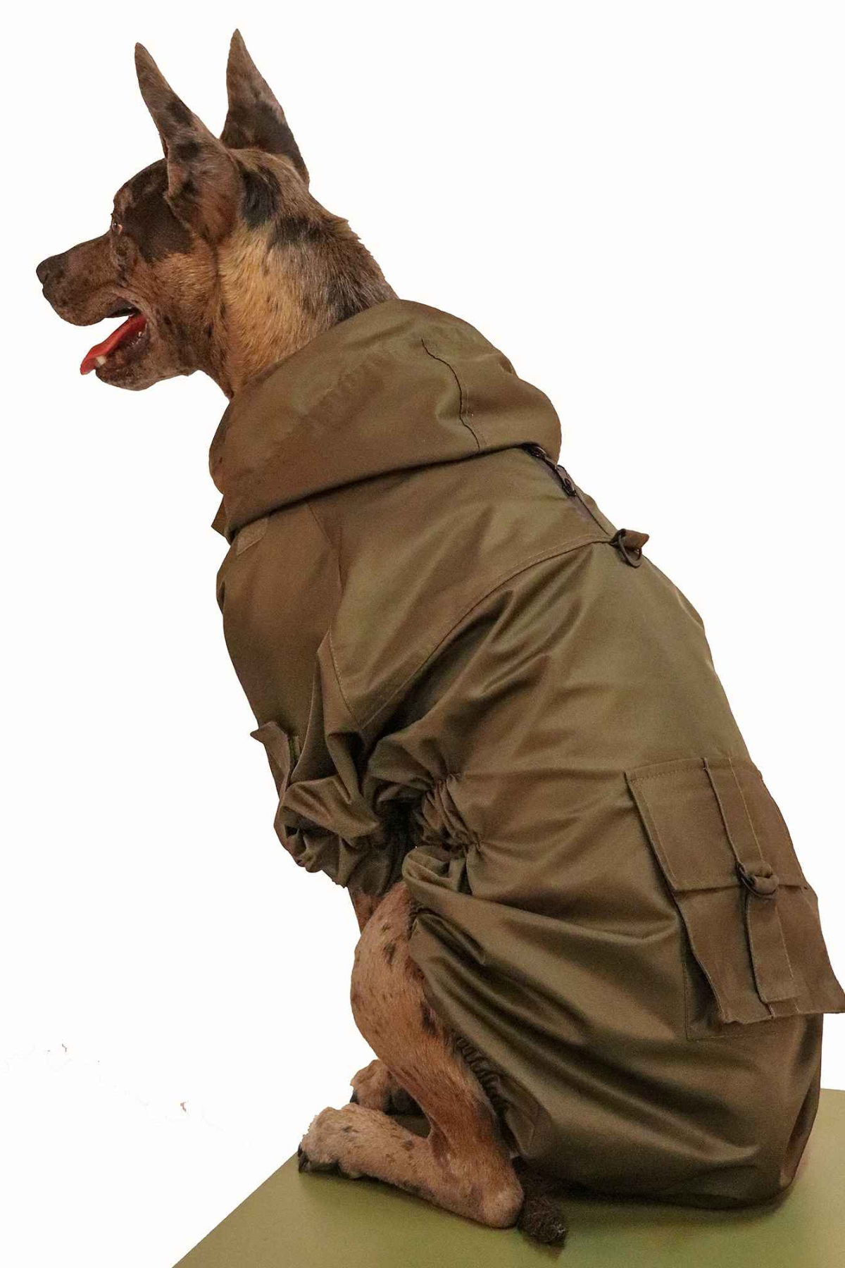 Muwa haki yağmurluk