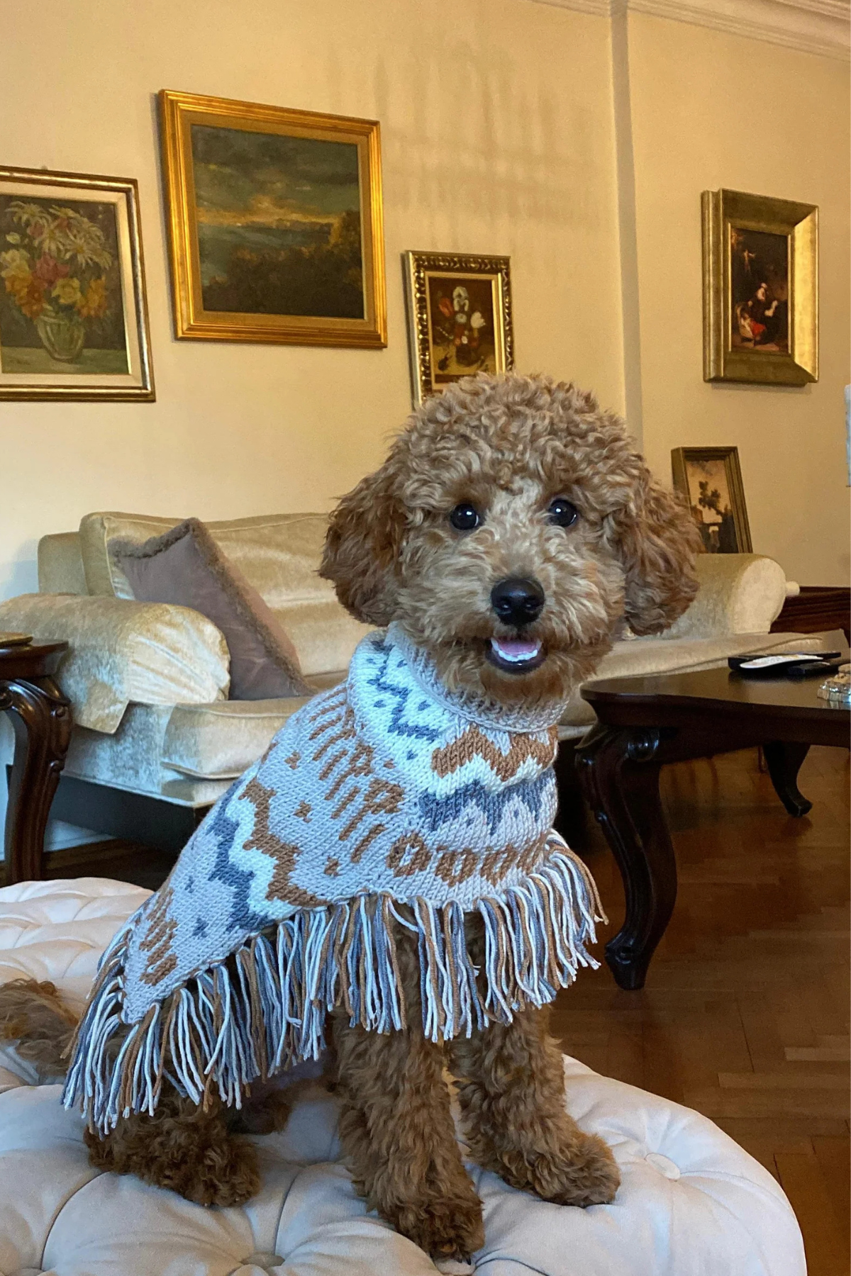 My Petit Paw Bej Püsküllü Köpek Kazağı 