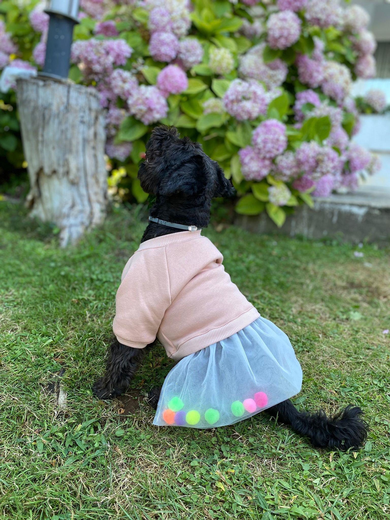 My Petit Paw Hoodie Elbise - Candy Crush Somon