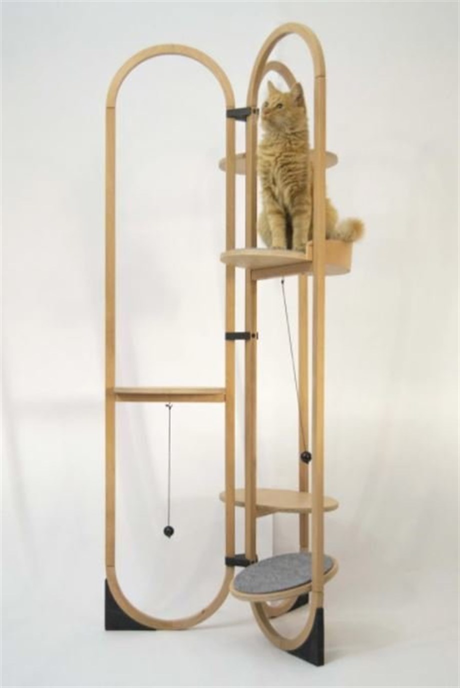 Nook Design The Move Kedi Oyun Alanı