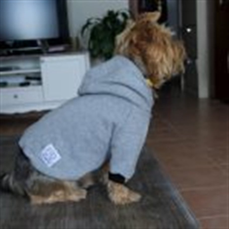 Oli and Lui Gray Sweathirt