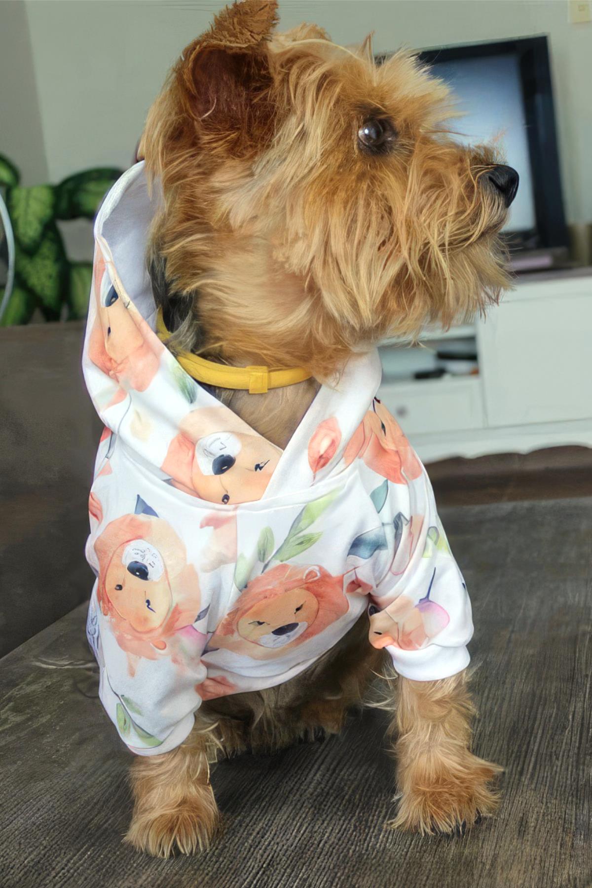 Oli And Lui Lion Dog Sweatshirt