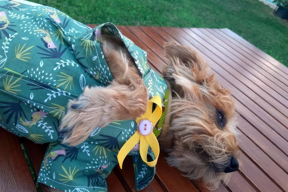 Oli And Lui Parrot Dog Shirt