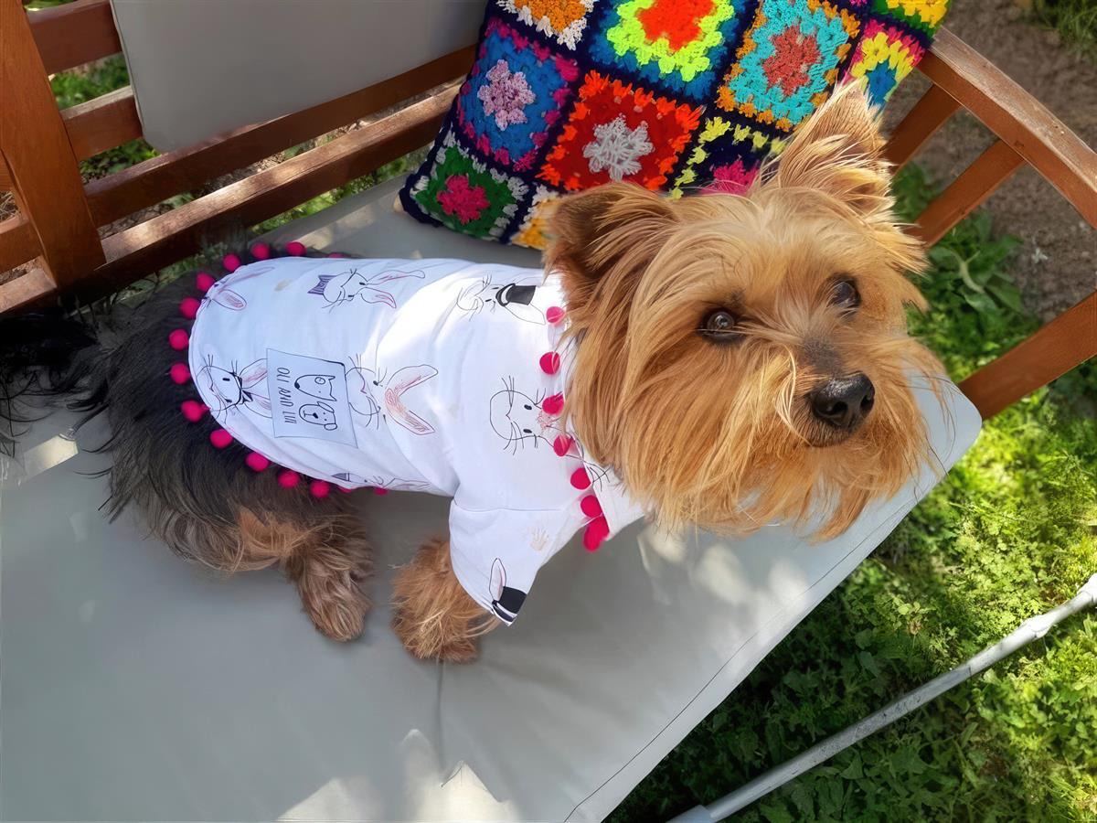 Oli And Lui Rabbit Dog Shirt