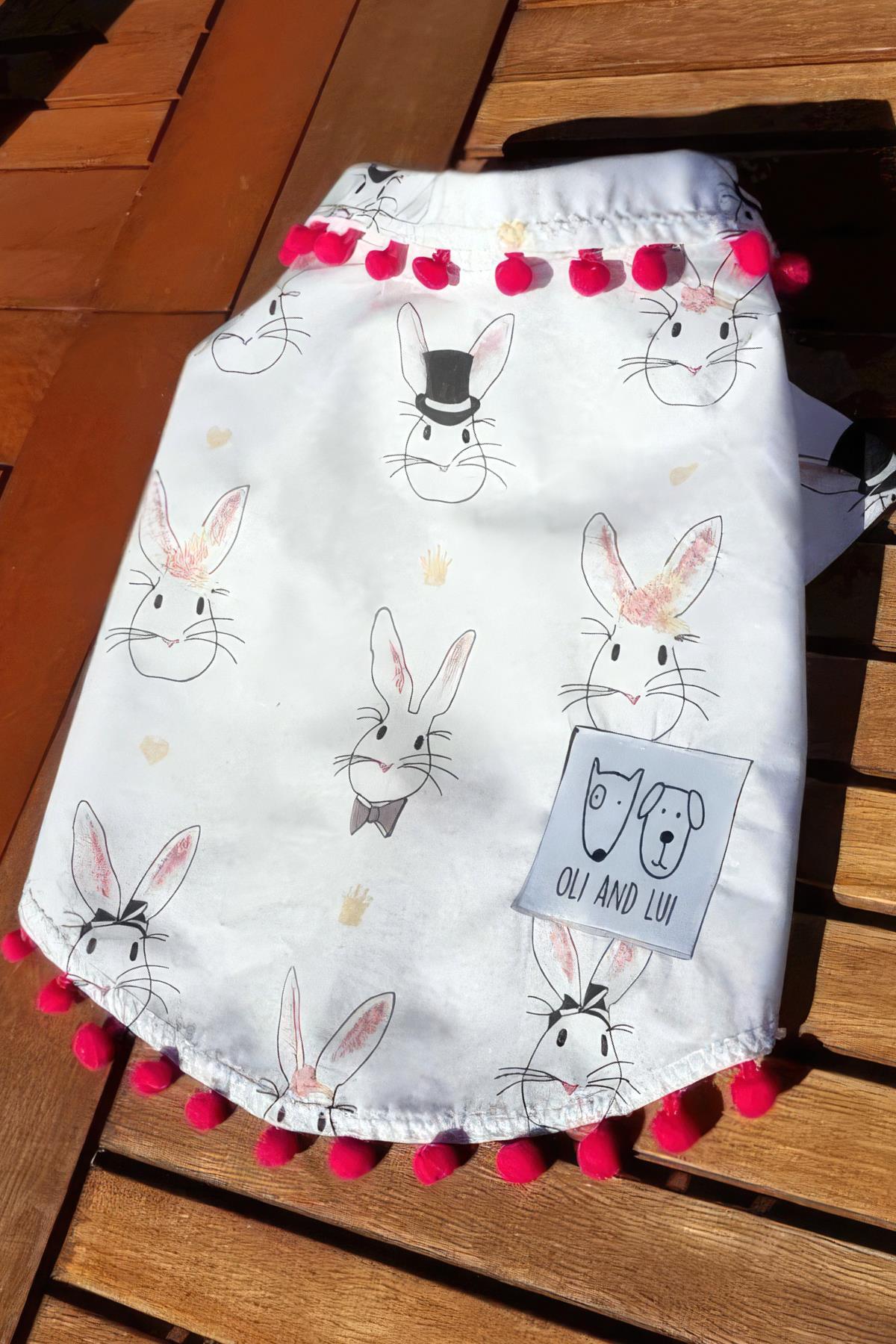 Oli And Lui Rabbit Dog Shirt