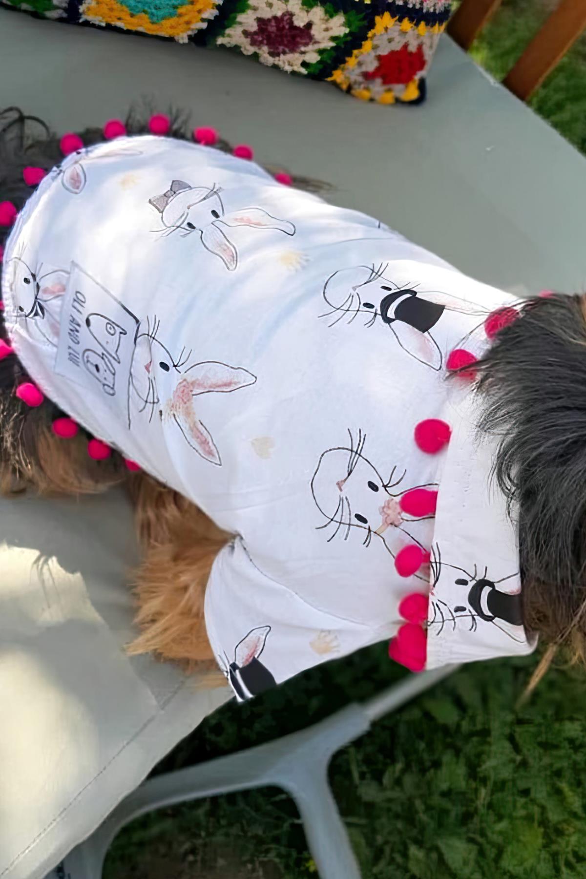 Oli And Lui Rabbit Dog Shirt