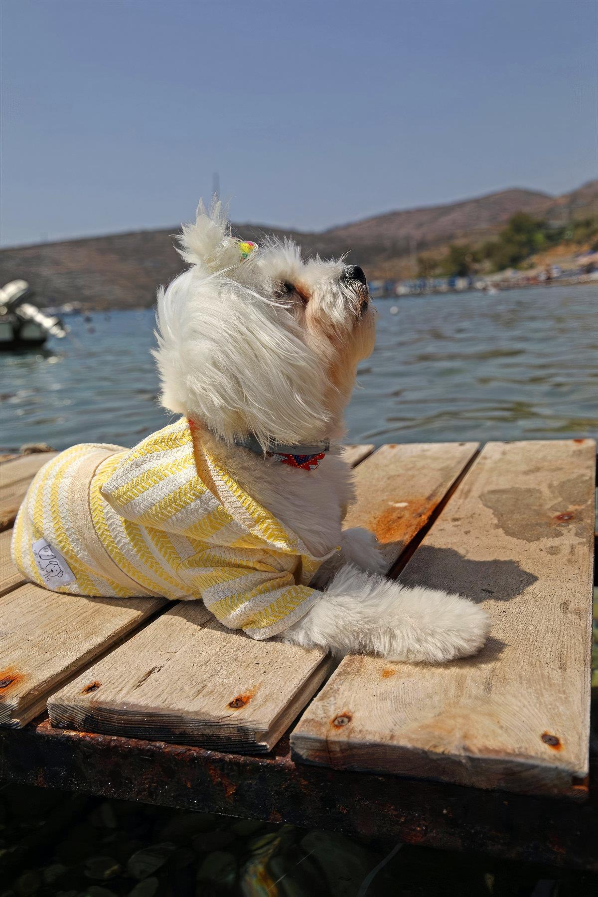 Oli and Lui Sunny-Sarı Peştemal Kumaş Köpek Bornozu