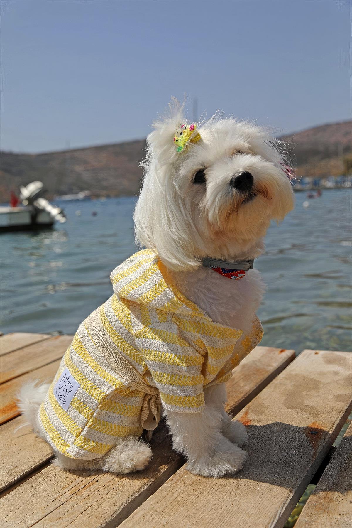 Oli and Lui Sunny-Sarı Peştemal Kumaş Köpek Bornozu