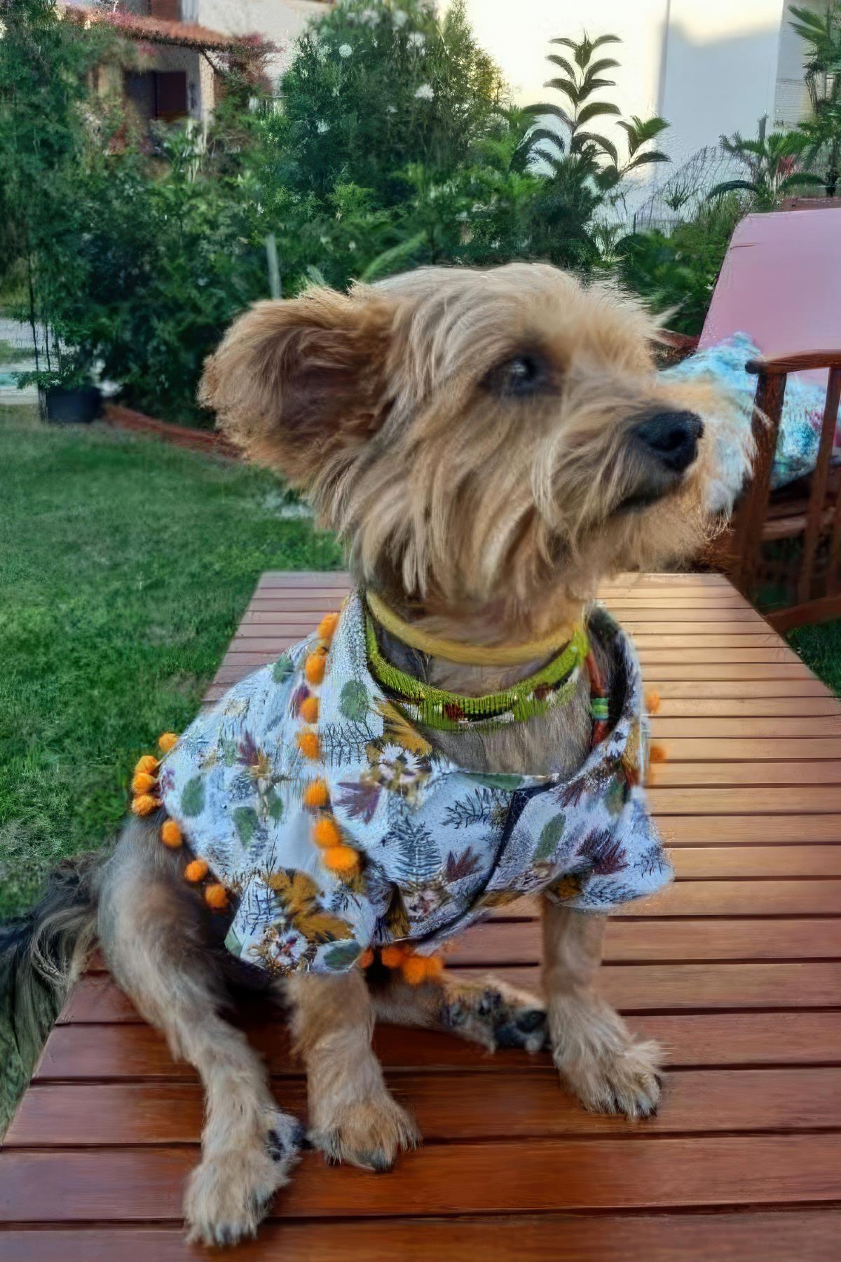 Oli And Lui Tiger Pompom Dog Shirt