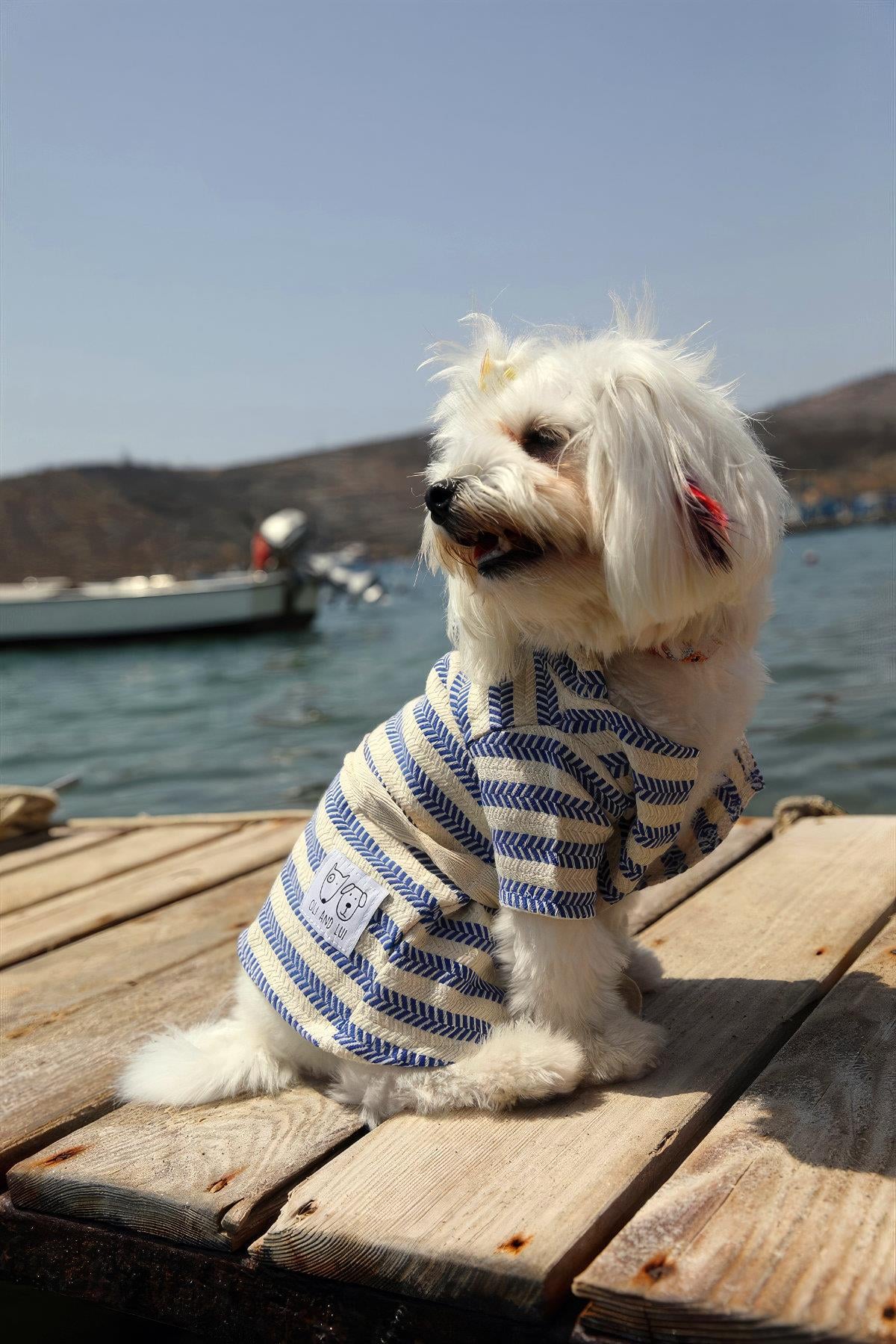 Oli and Lui Wavy-Mavi Peştemal Kumaş Köpek Bornozu