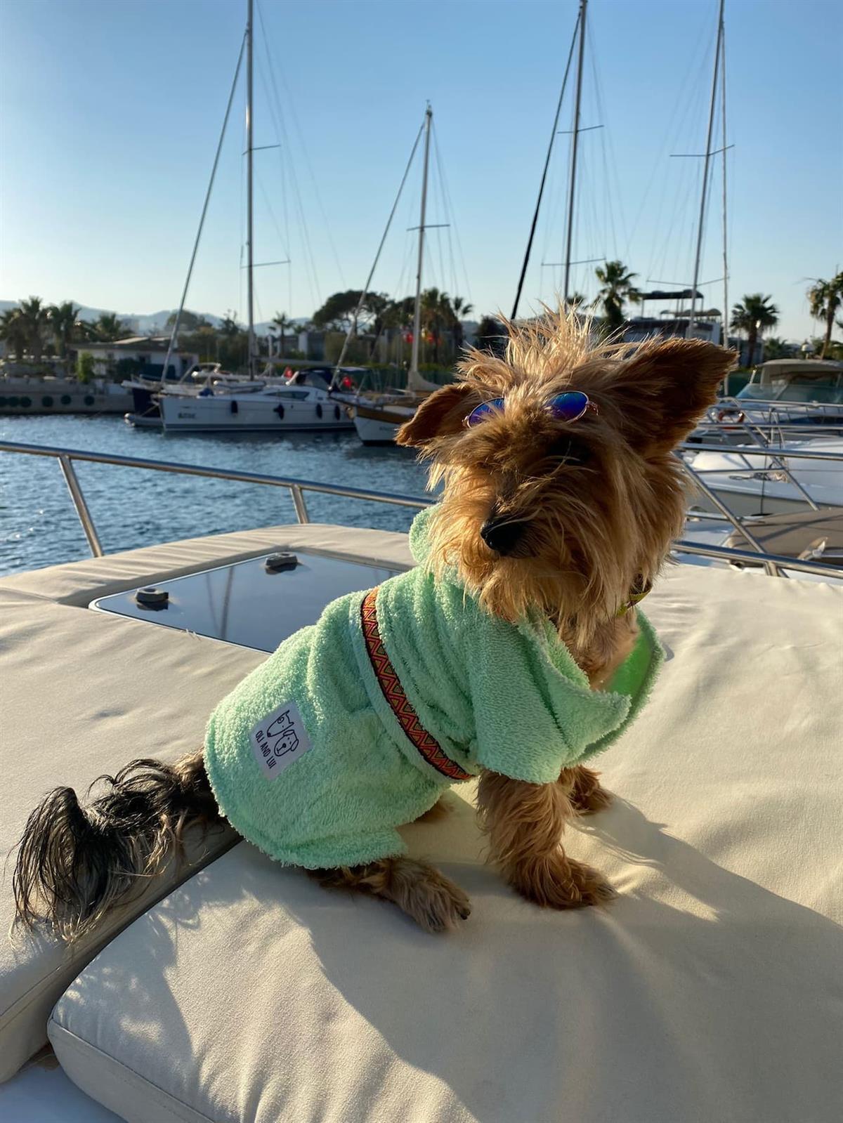 Oli and Lui Yeşil Köpek Bornozu