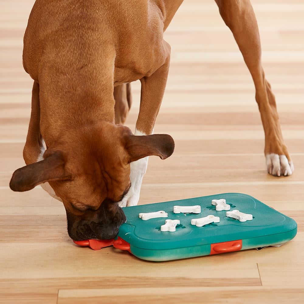 Outward Hound Nina Ottosson Dog Casino - Ödüller için Etkileşimli Köpek Oyuncağı - İleri Seviye