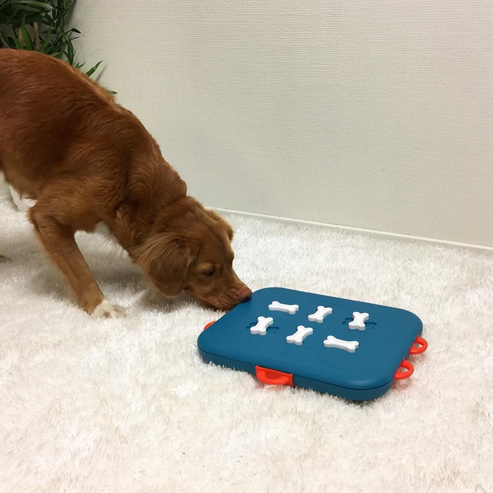 Outward Hound Nina Ottosson Dog Casino - Ödüller için Etkileşimli Köpek Oyuncağı - İleri Seviye