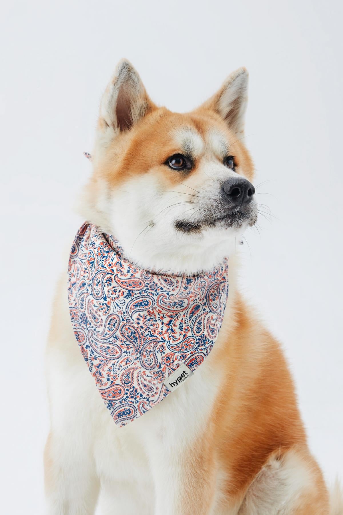 Hypet Fashion Paisley Bandana