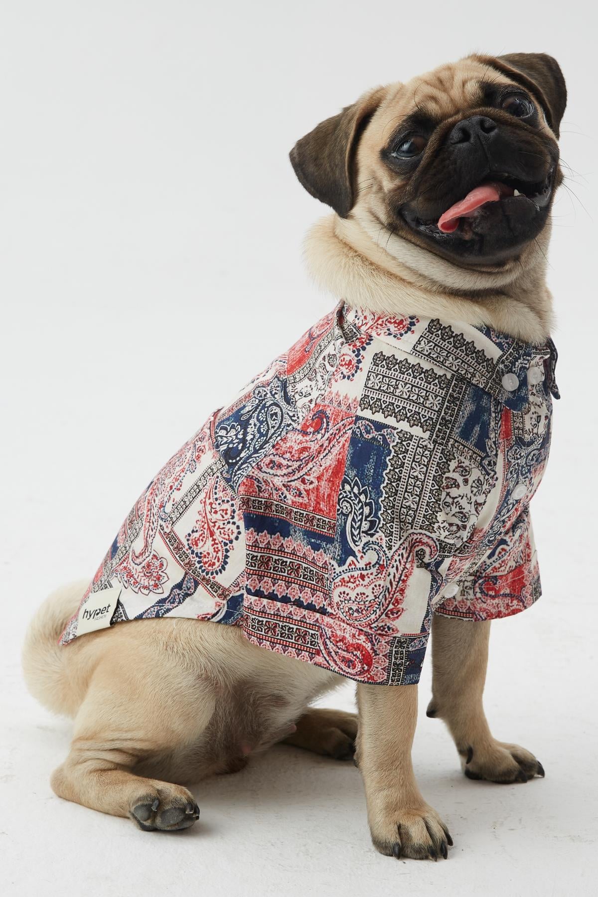 Hypet Fashion Patchwork Köpek Gömleği 