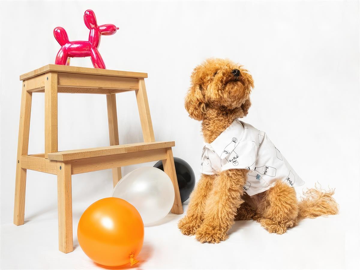 Paw Icons I Am Not A Morning Dog Dog Shirt