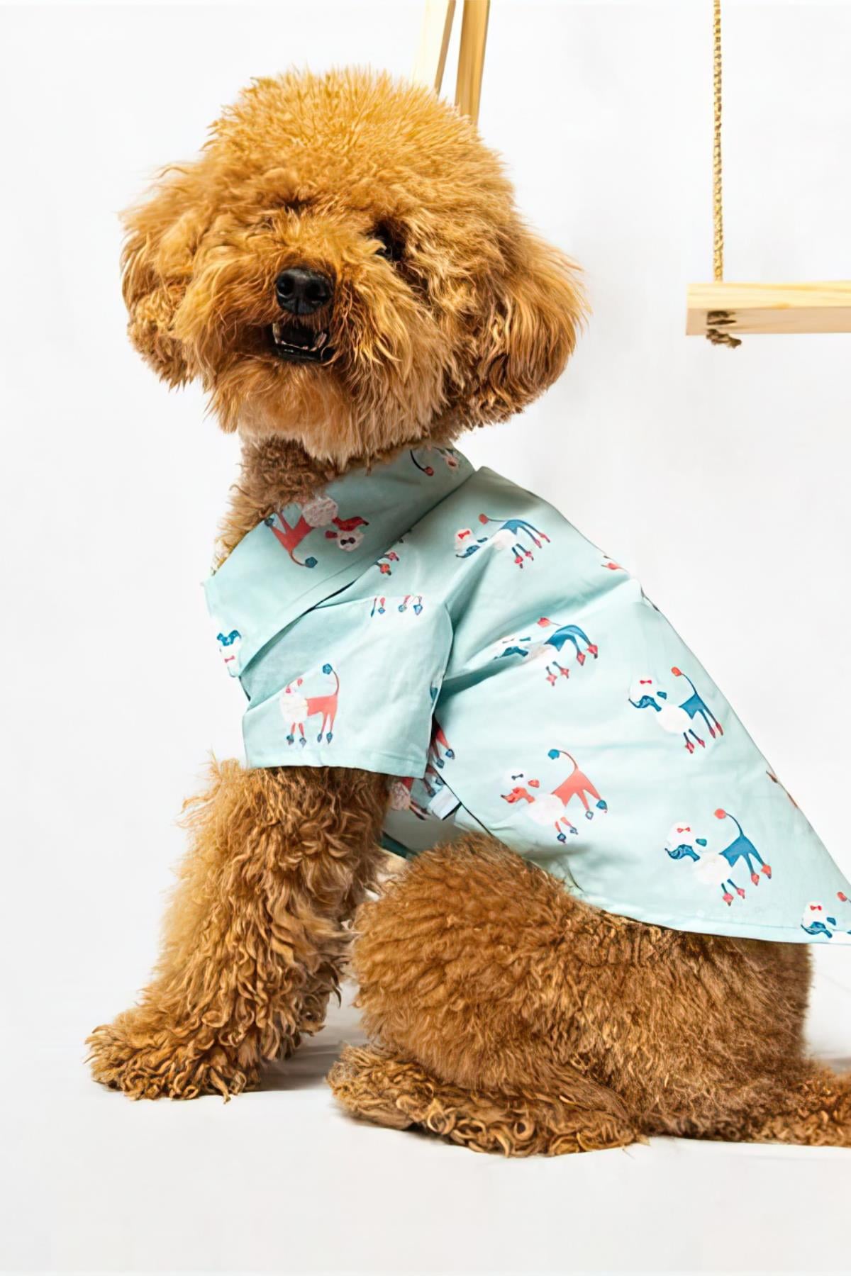 Paw Icons I Am Not A Toy I Am Poodle Dog Shirt
