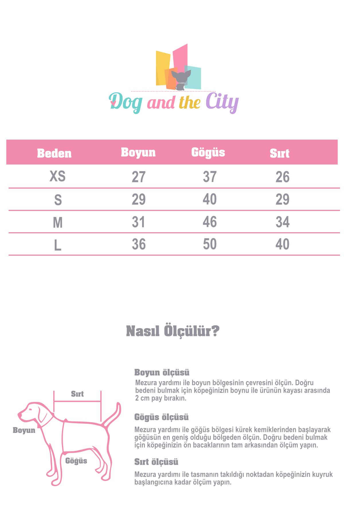 Paw Icons Love Is Found Dog Shirt