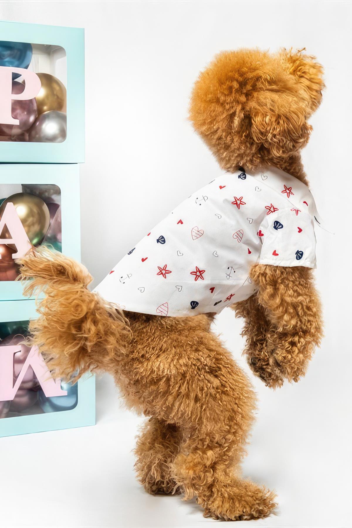 Paw Icons Love Is Found Dog Shirt