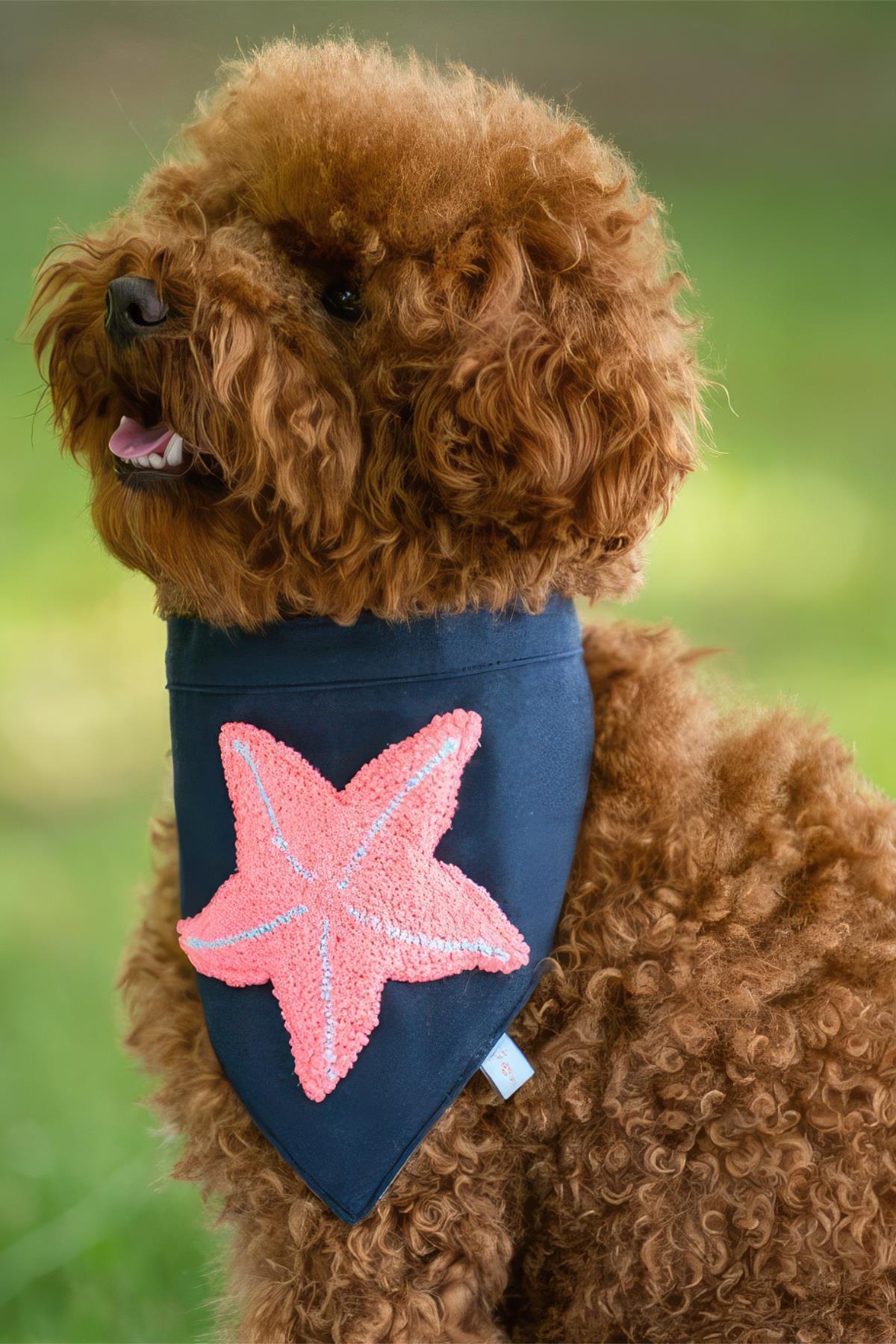 Paw Icons Starfish Köpek Bandana