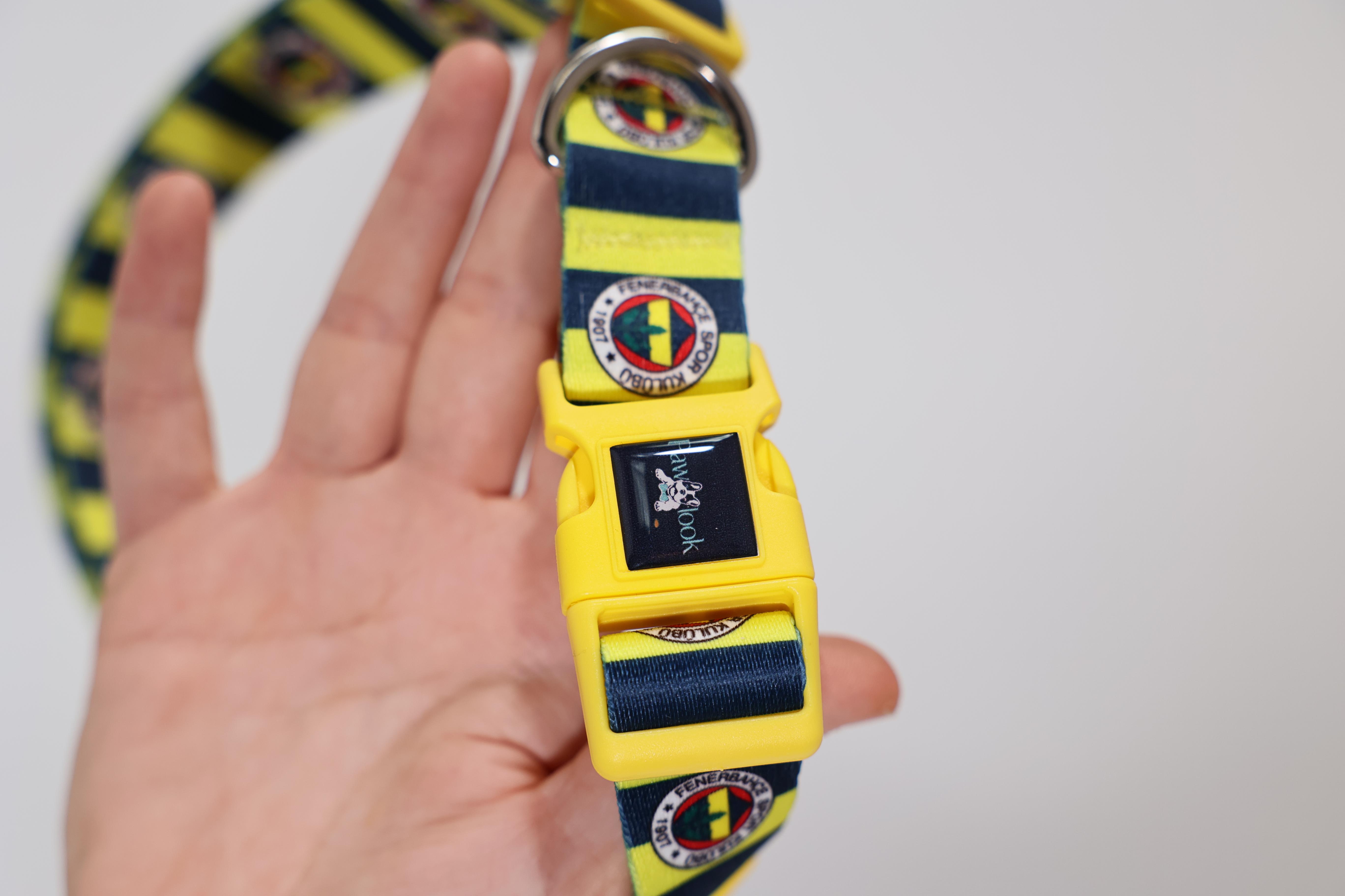 Pawlook Fenerbahçe Lisanslı Köpek Boyun Tasması, Çubuklu Boyun Tasması