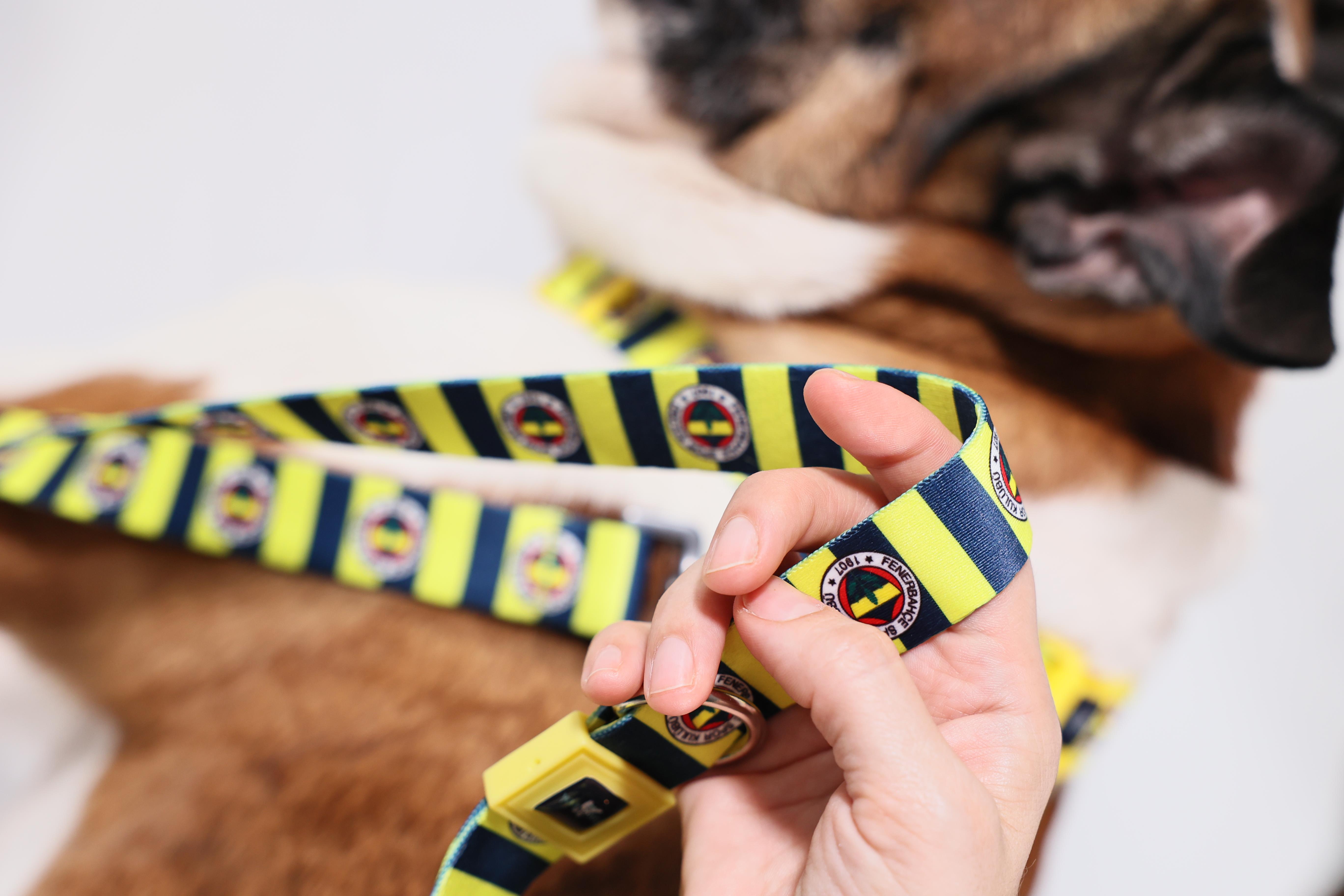Pawlook Fenerbahçe Lisanslı Köpek Gezdirme Tasması, Köpek Gezdirme Kayışı Çubuklu