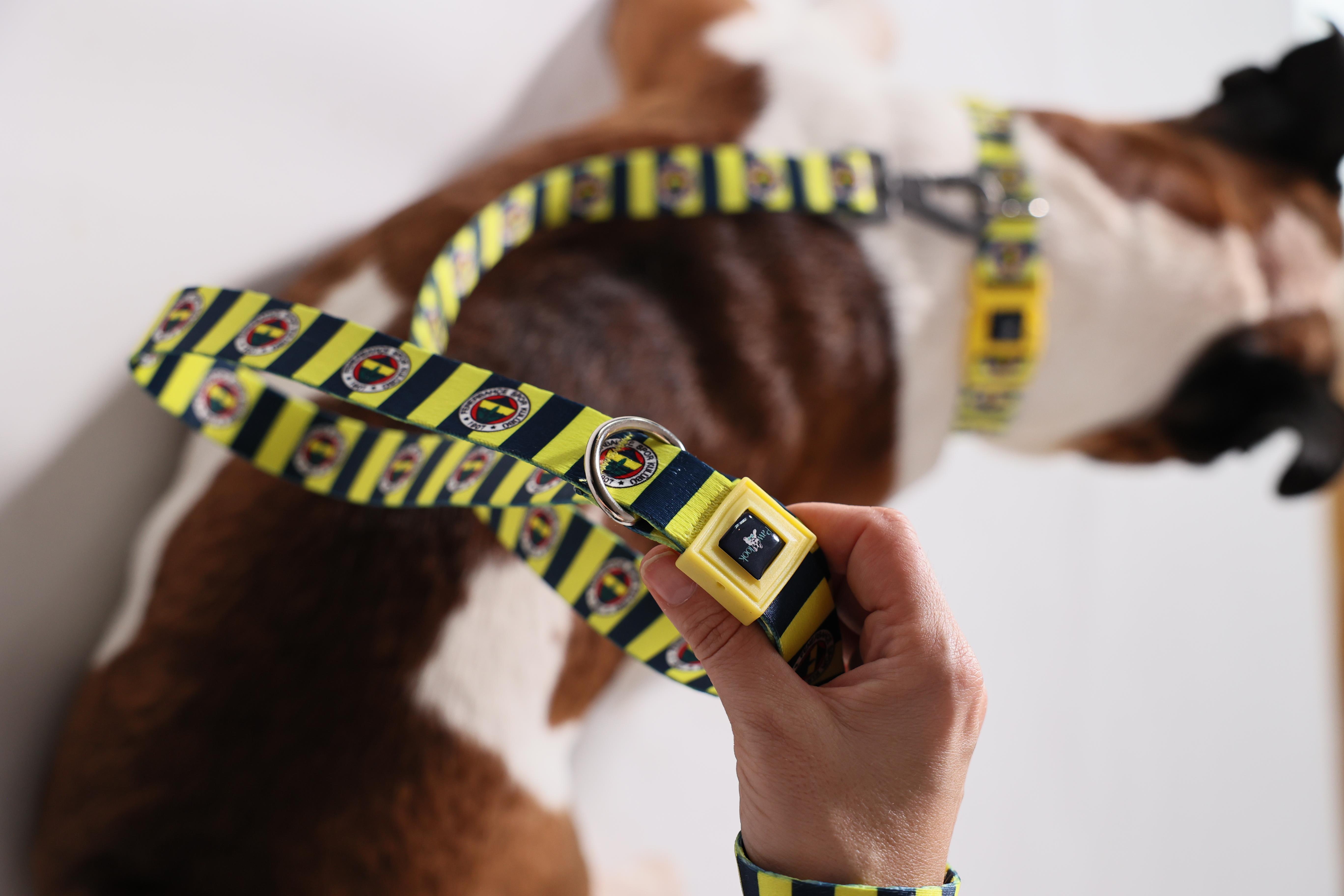 Pawlook Fenerbahçe Lisanslı Köpek Gezdirme Tasması, Köpek Gezdirme Kayışı Çubuklu