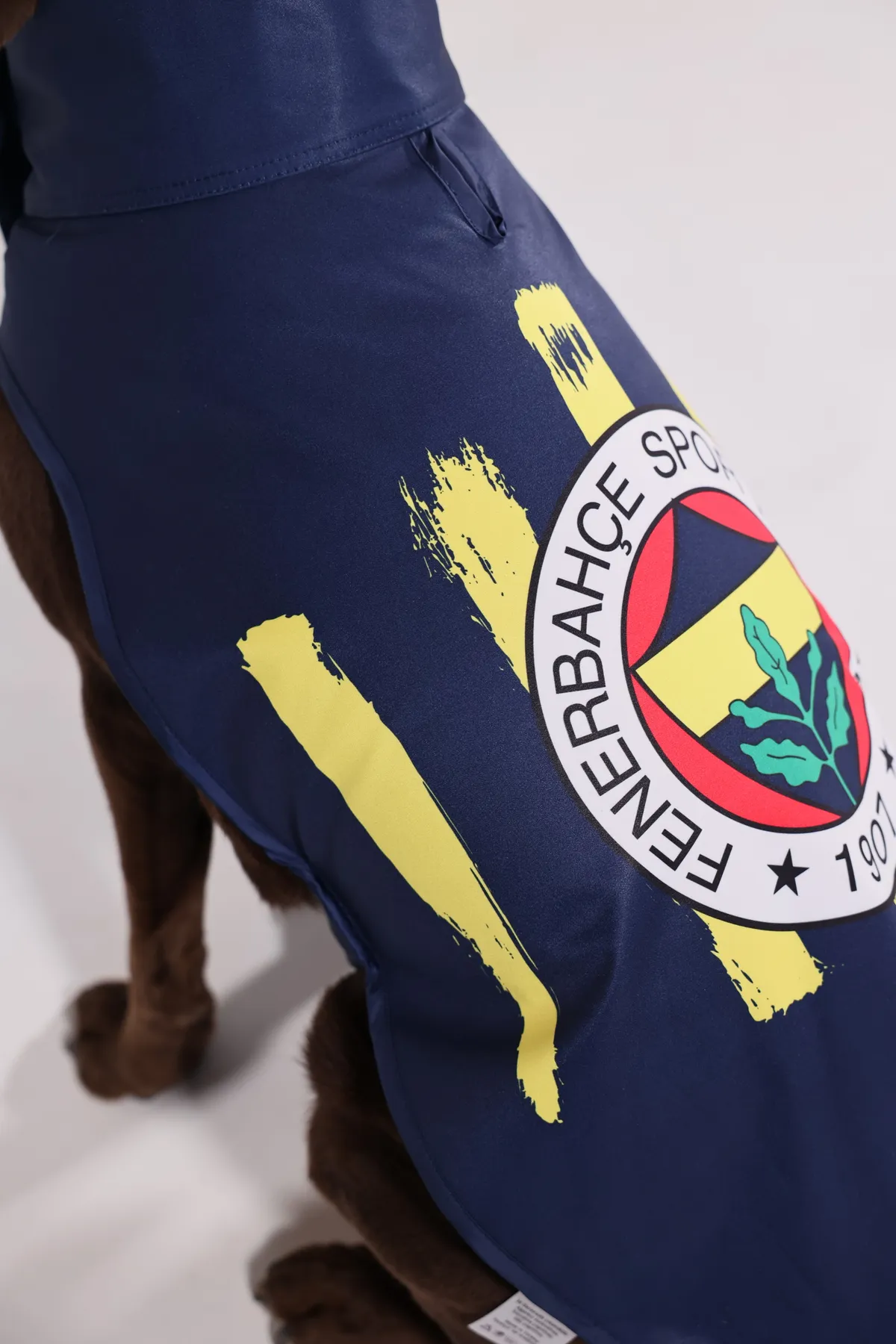Pawlook Fenerbahçe Lisanslı Köpek Yağmurluğu