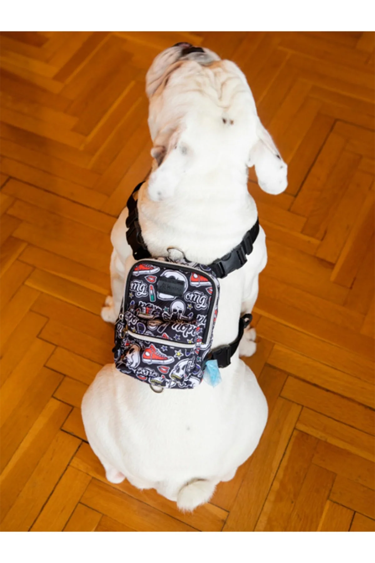 Pawlook Köpek Göğüs Tasması Sırt Çantası- Skull