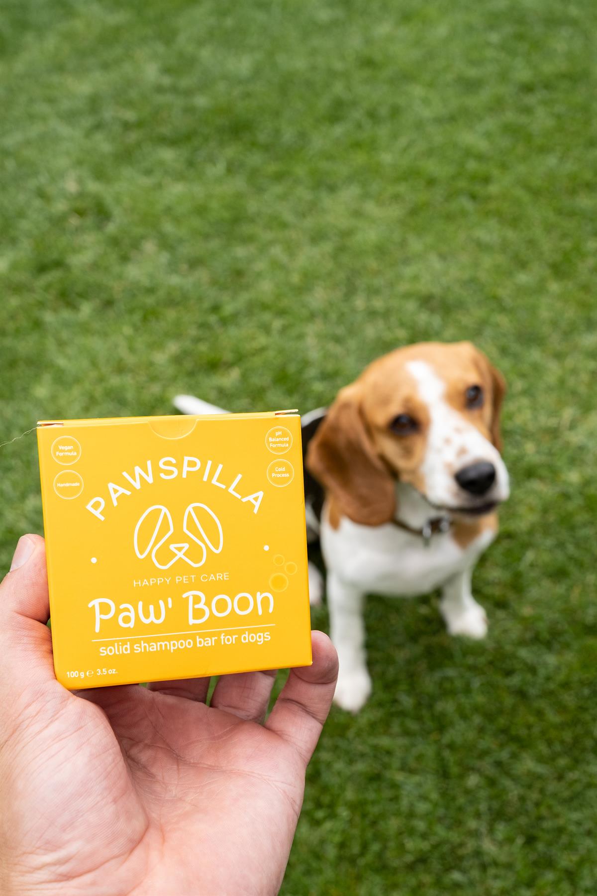 Pawspilla PawBoon Katı Köpek Şampuanı
