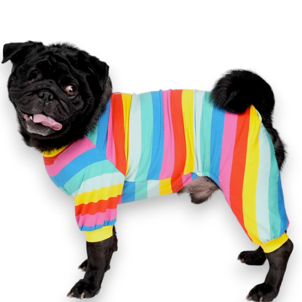 Pawstar Colorfit Penye Köpek Tulum