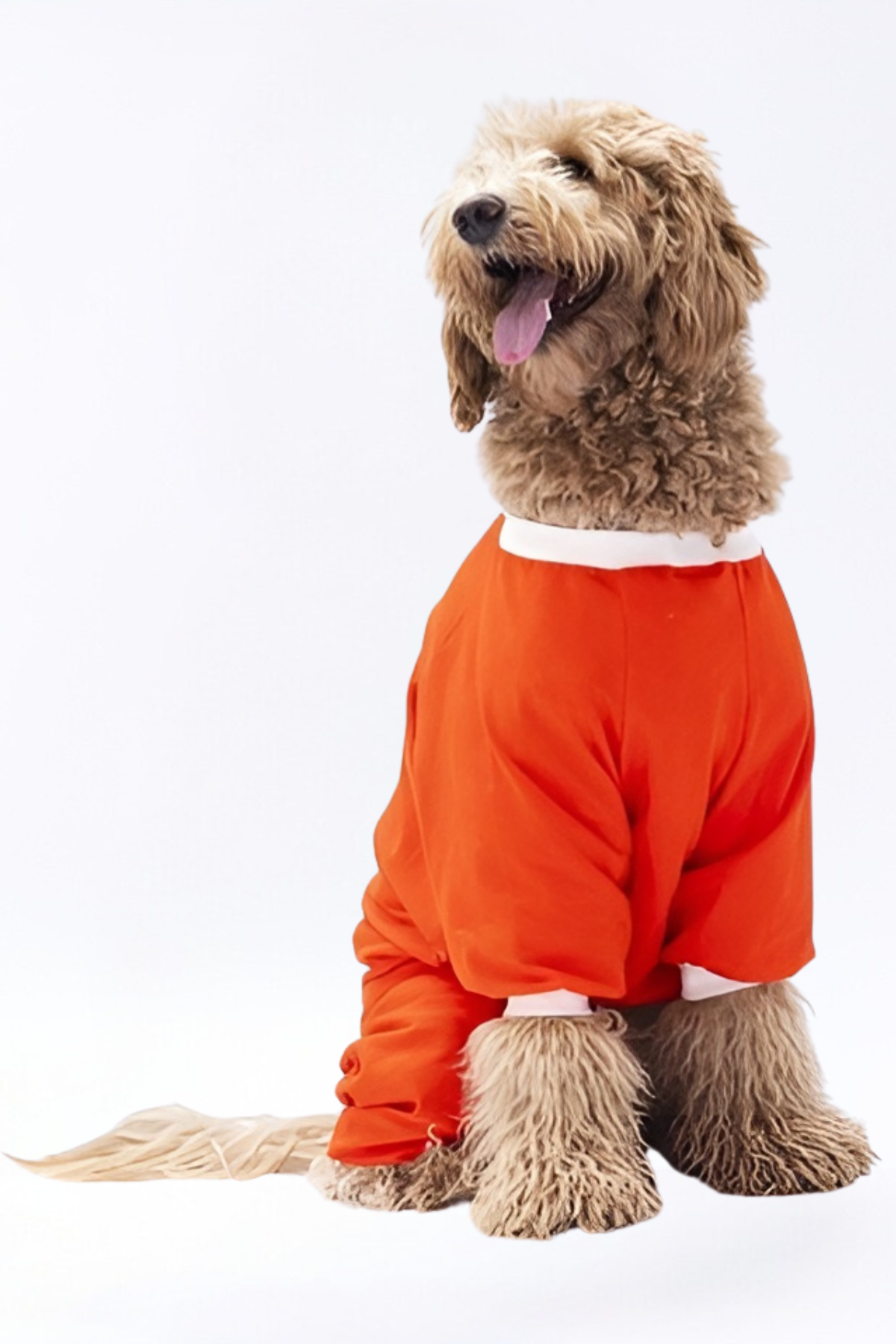 PawStar Orange Giraffle Large Breed Pajama Jumpsuit