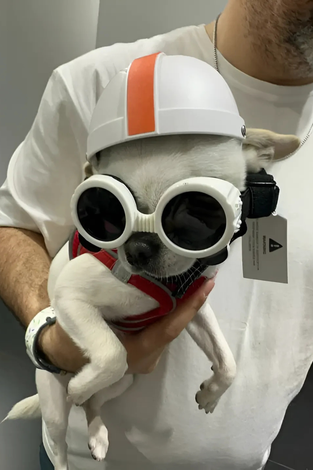 Pet Helmet Mini Açık Köpek Kask Gözlüklü Takım Beyaz - Turuncu (Medium)