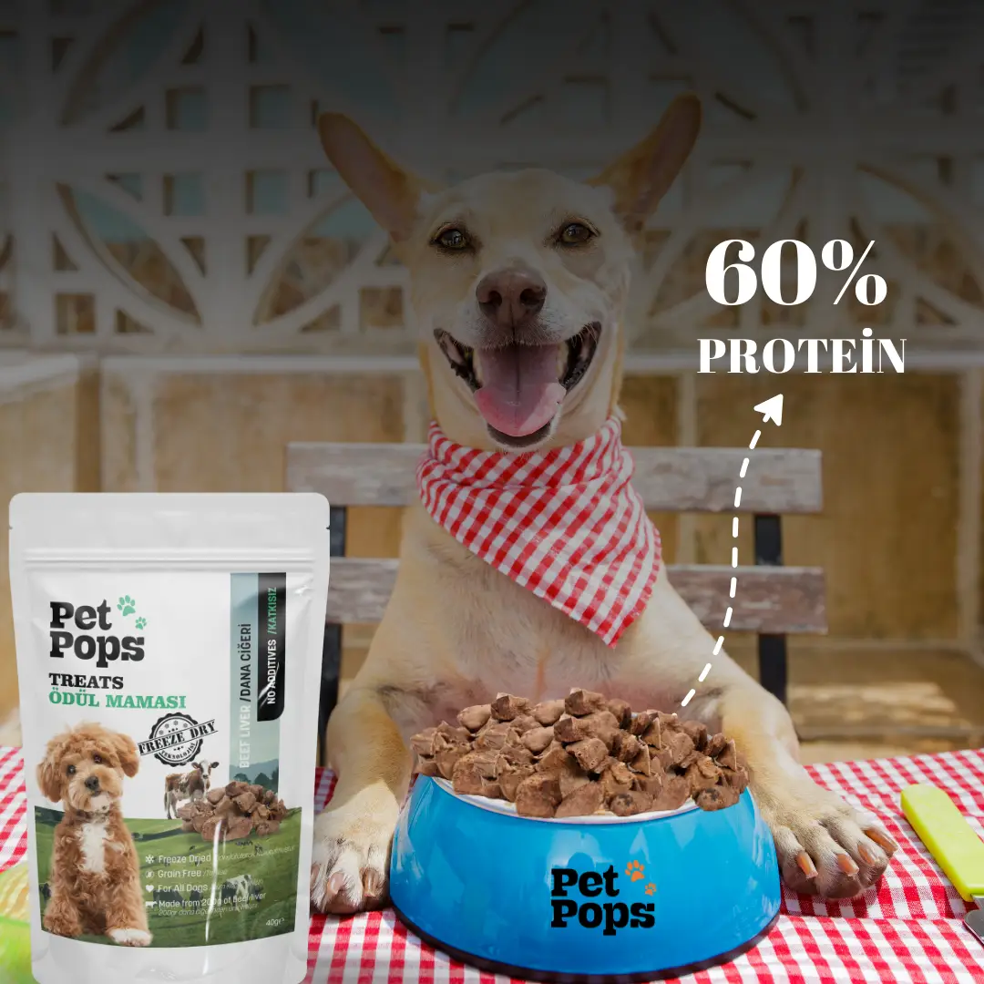 Pet Pops Beef Liver, Freeze Dry Dog Treats