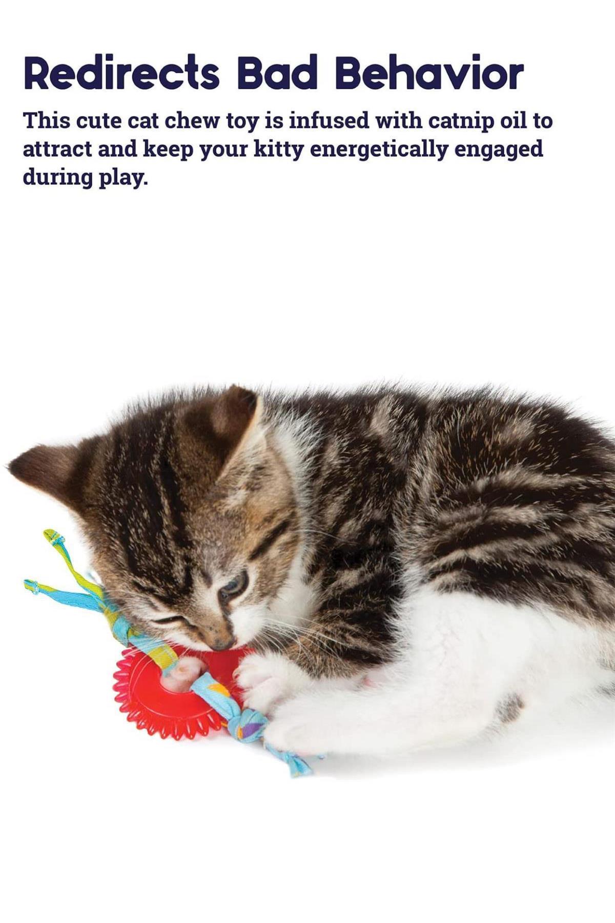 Petstages Dental Kitty Chew Wheel