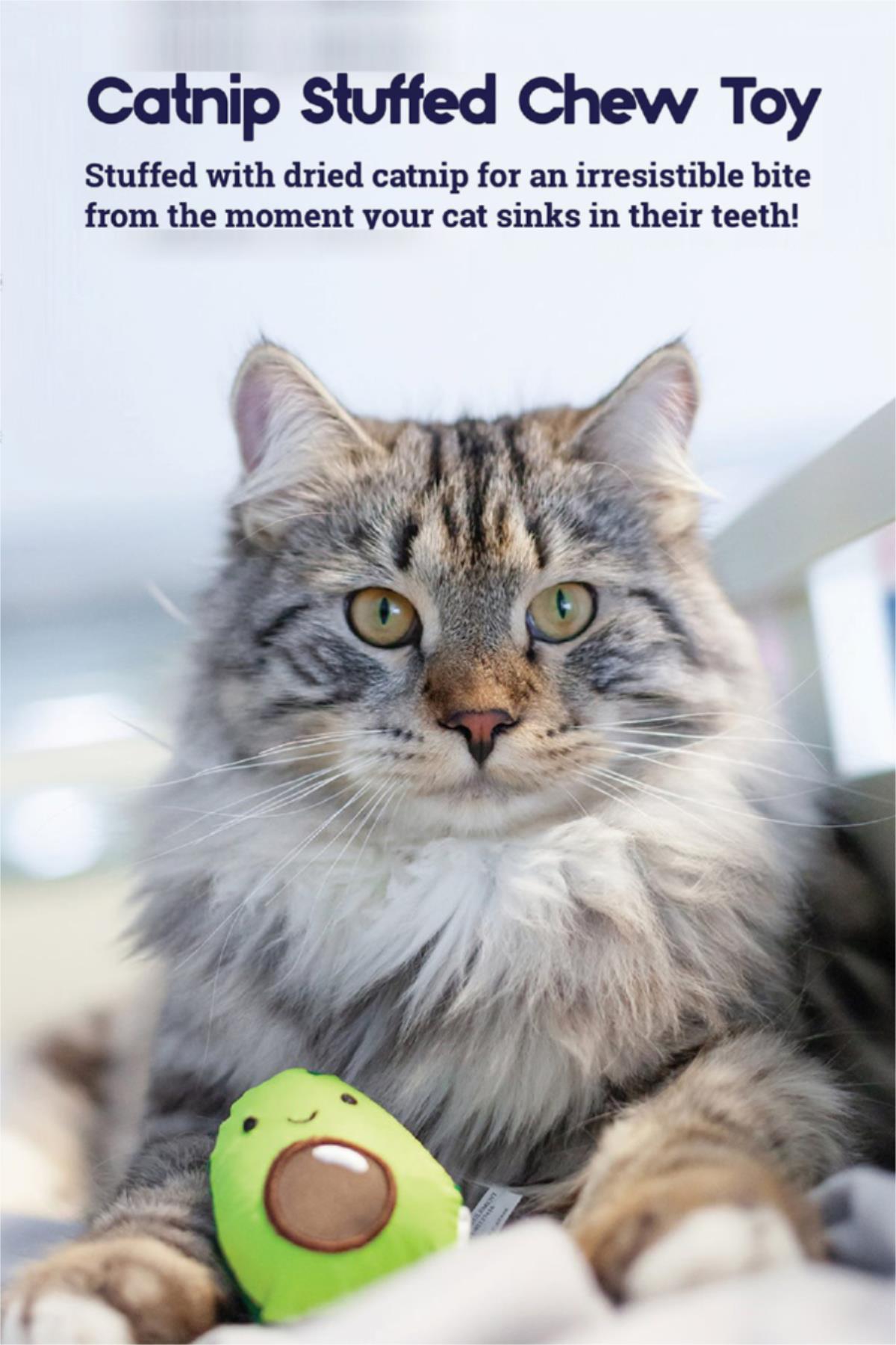 Petstages Lil Avocato Diş Sağlığı Kedi Çiğneme Oyuncağı
