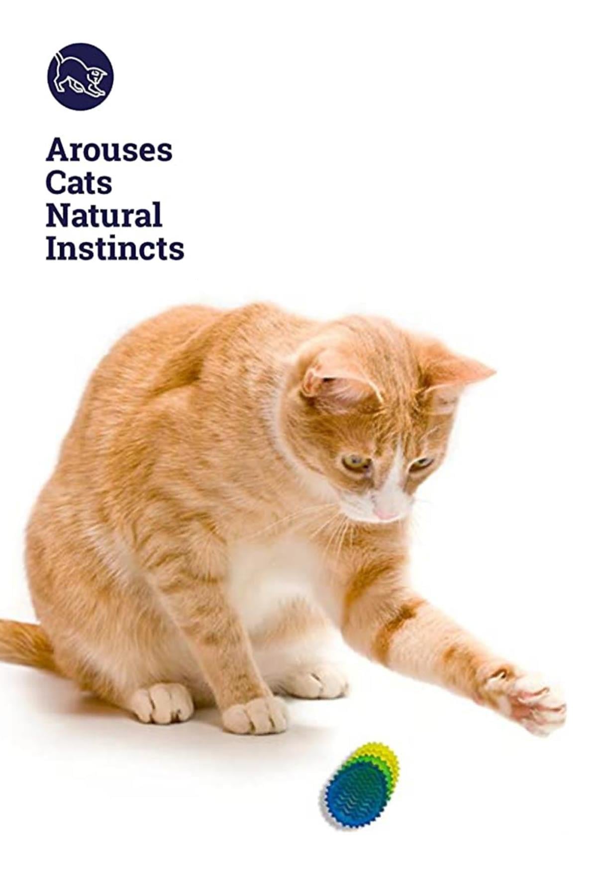 Petstages Toss N Flip Chips Chew Cat Toy, Blue