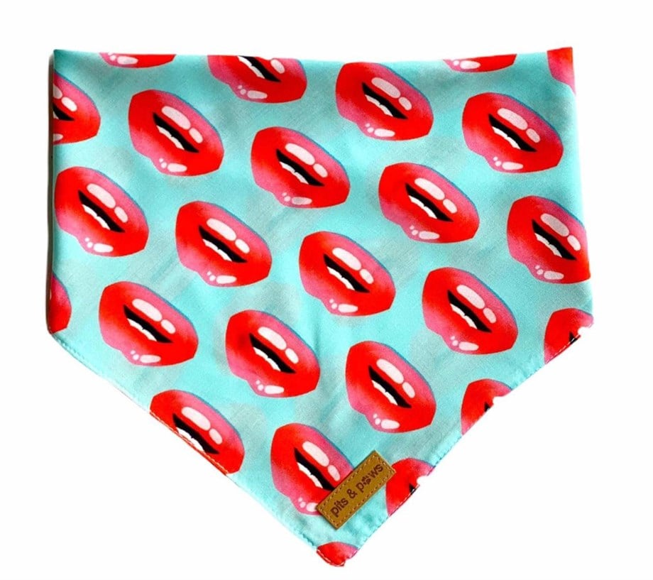 Pits&Paws Passion Köpek Bandanası