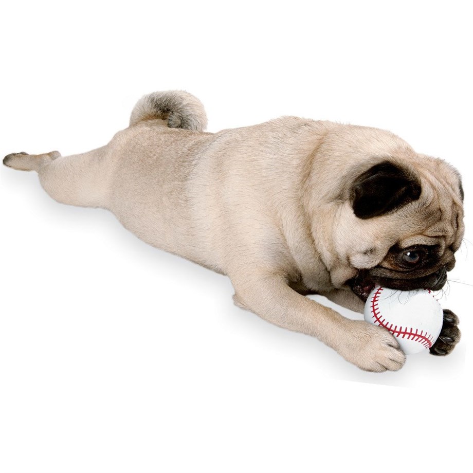 Planet Dog Baseball Dog Toy Ball