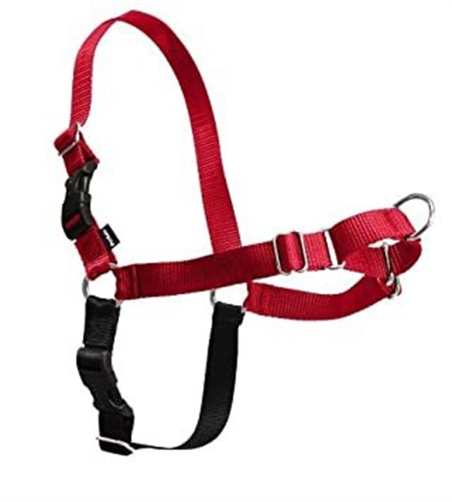 Premier Gentle Leader Kafalıklı Köpek Tasması S