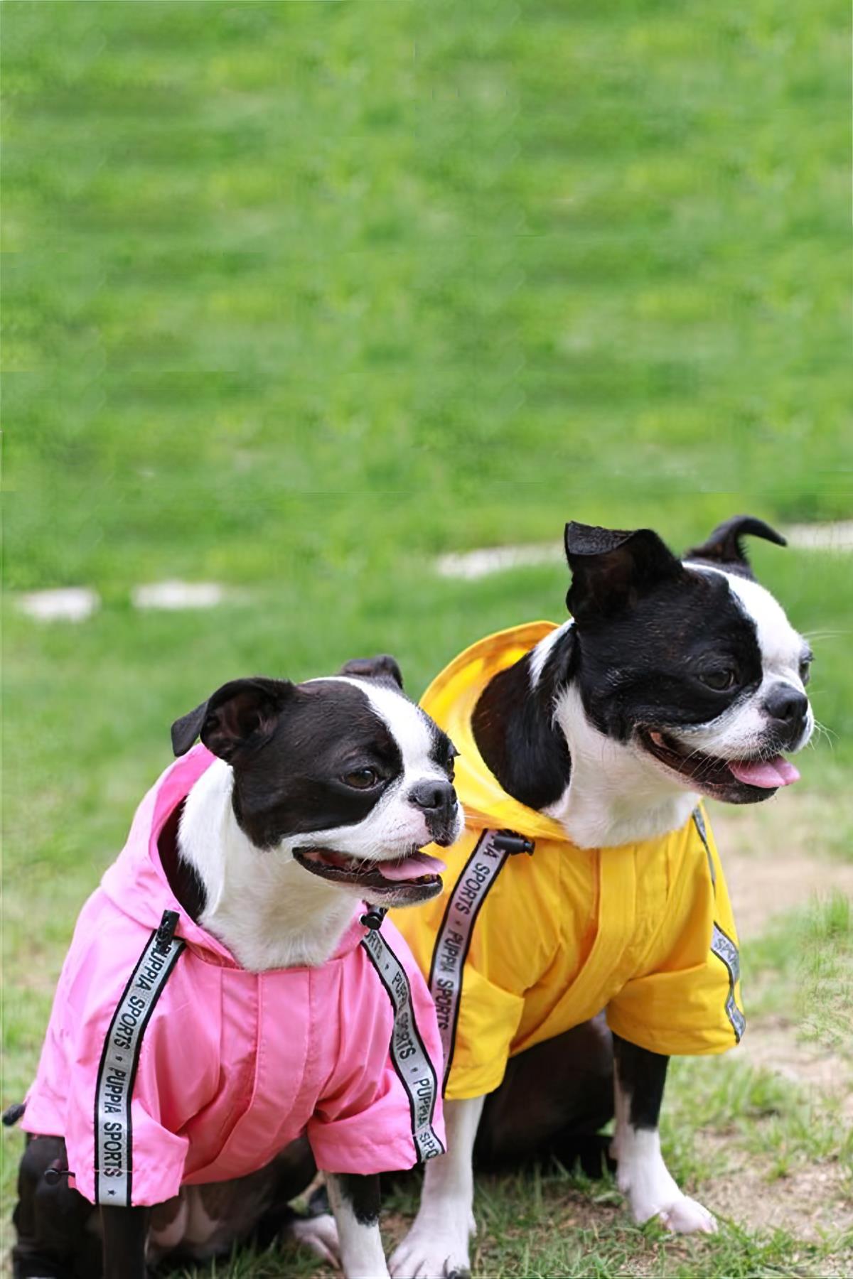Puppia Base Jumper Dog Raincoat Pink