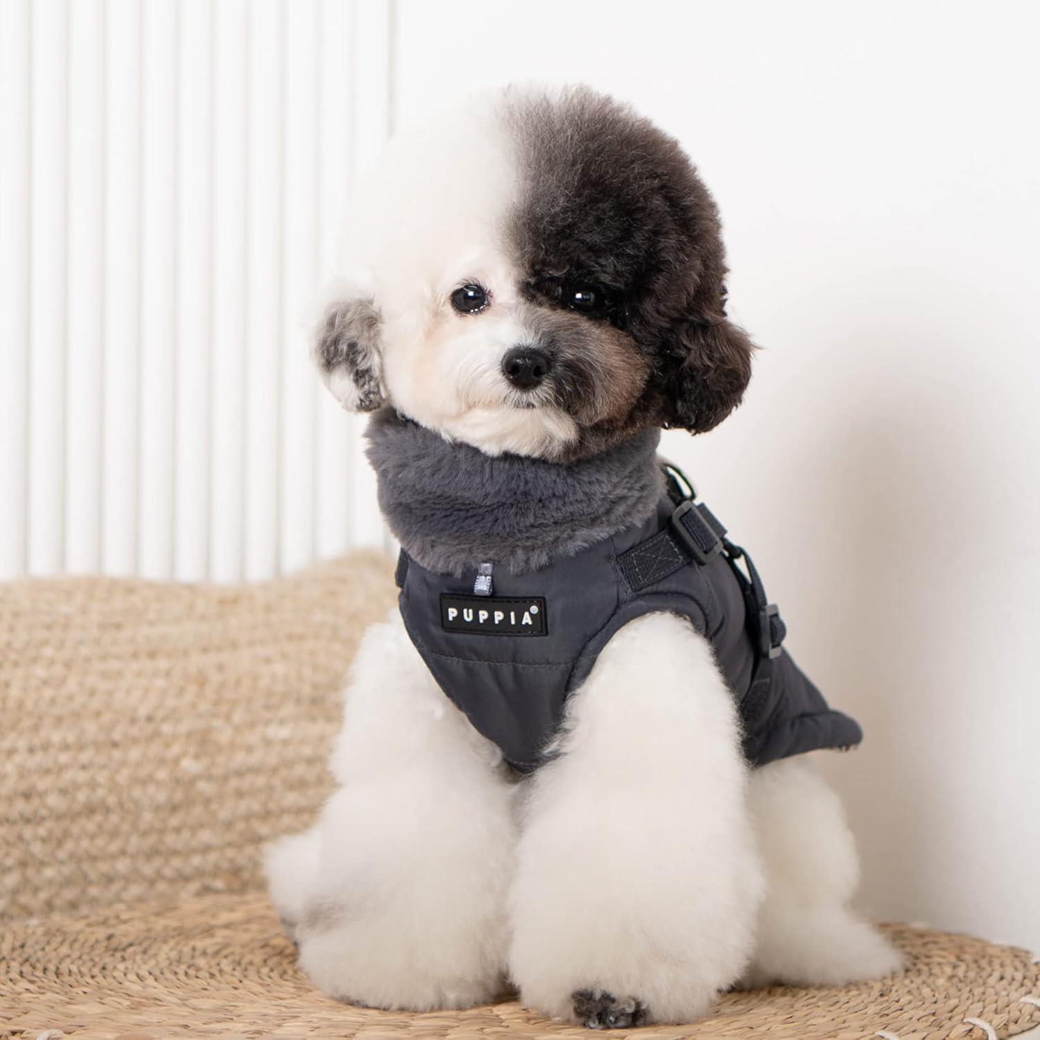 Puppia Donavan Kış Köpek Montu Siyah