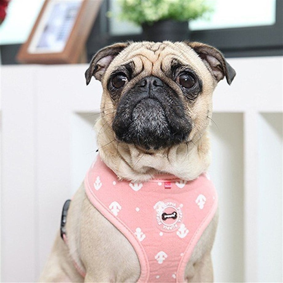 Puppia Ernest Dog Tasma Pink