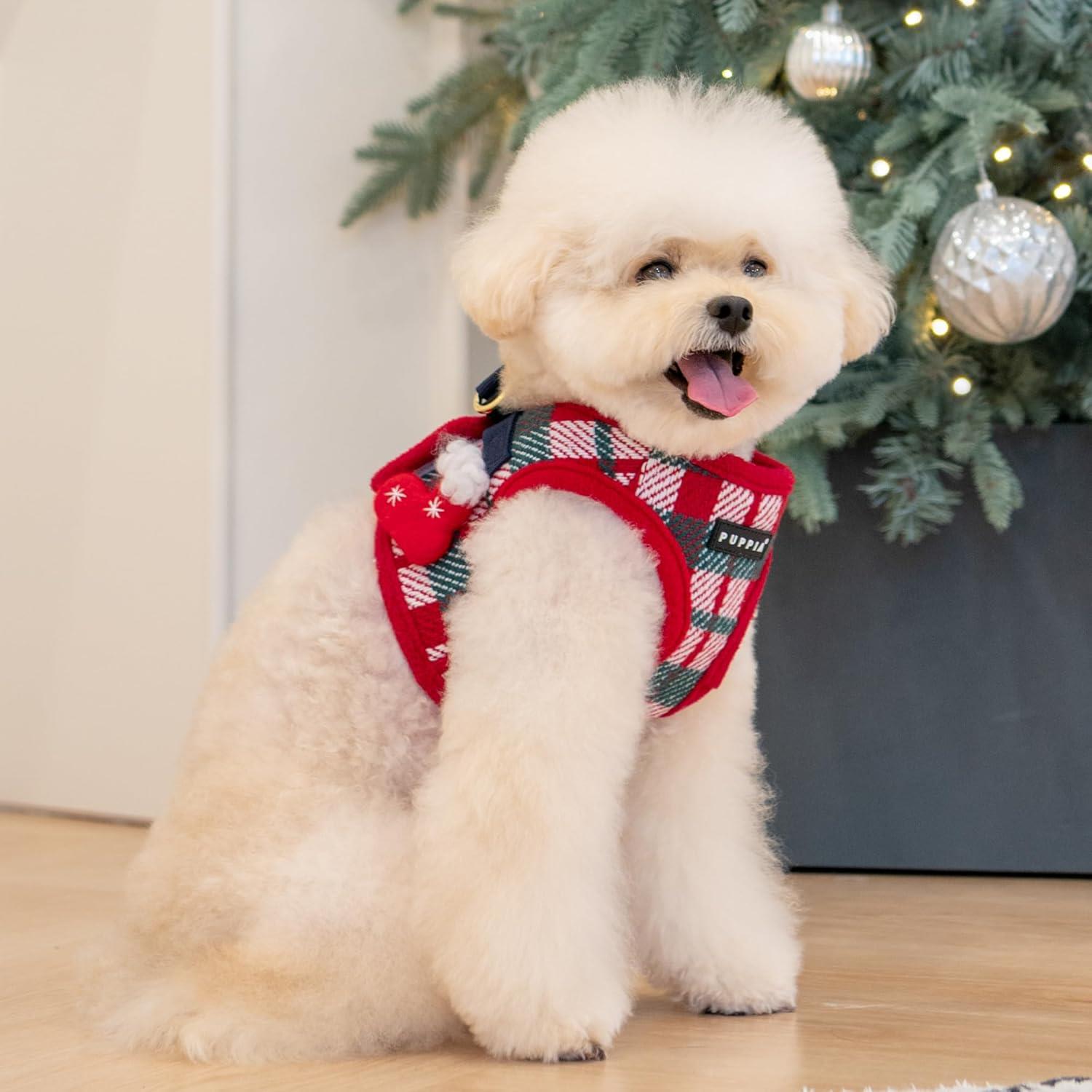 Puppia Festive Harness Red Köpek Göğüs Tasması