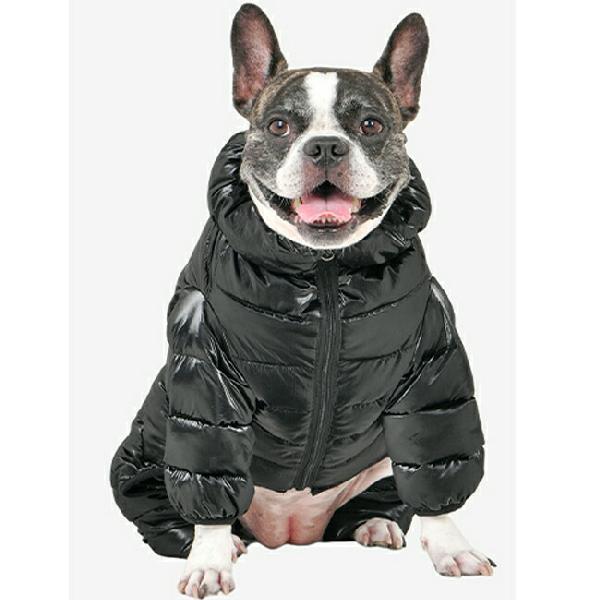 Puppia Glossy All in One Köpek Tulumu Siyah