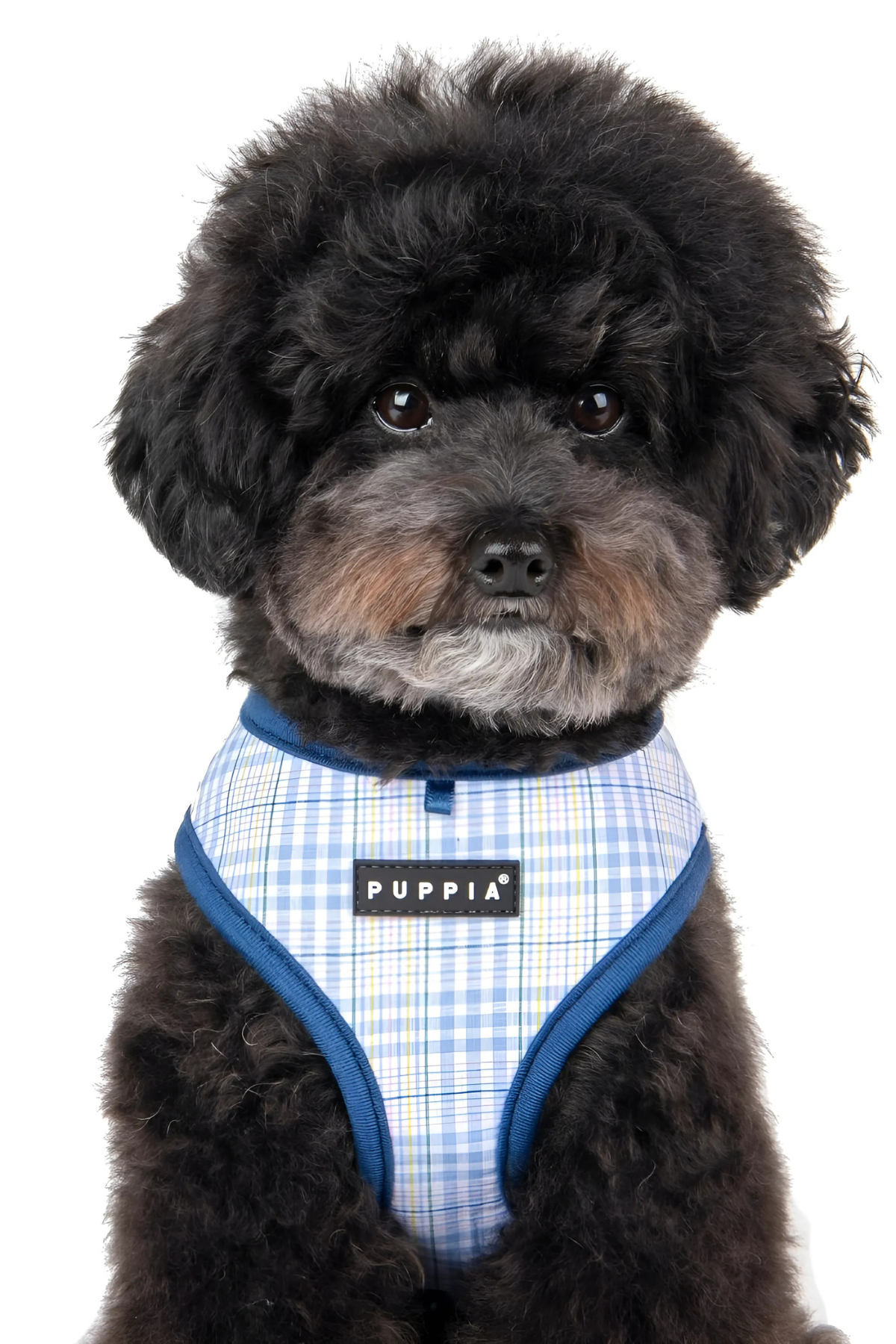 Puppia Göğüs Tasması Kareli Blue