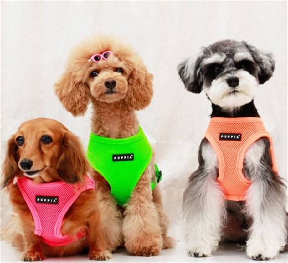 Puppia Neon Soft Vest Köpek Tasma Pembe