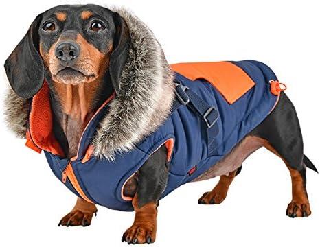 Puppia Orson Göğüs Tasmalı Köpek Montu Navy